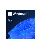 Windows 11 Pro OEM 64Bit Türkçe