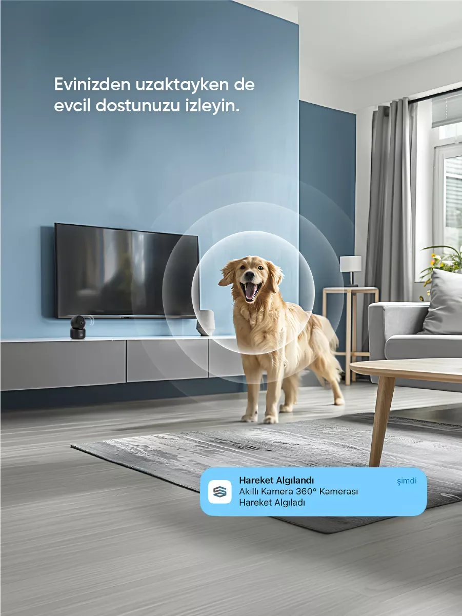single-product-image