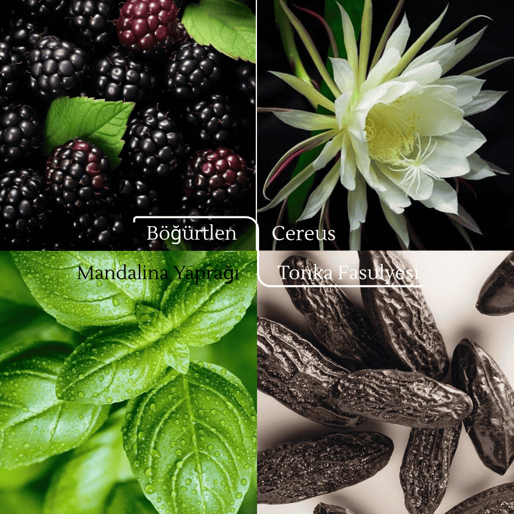 single-product-image