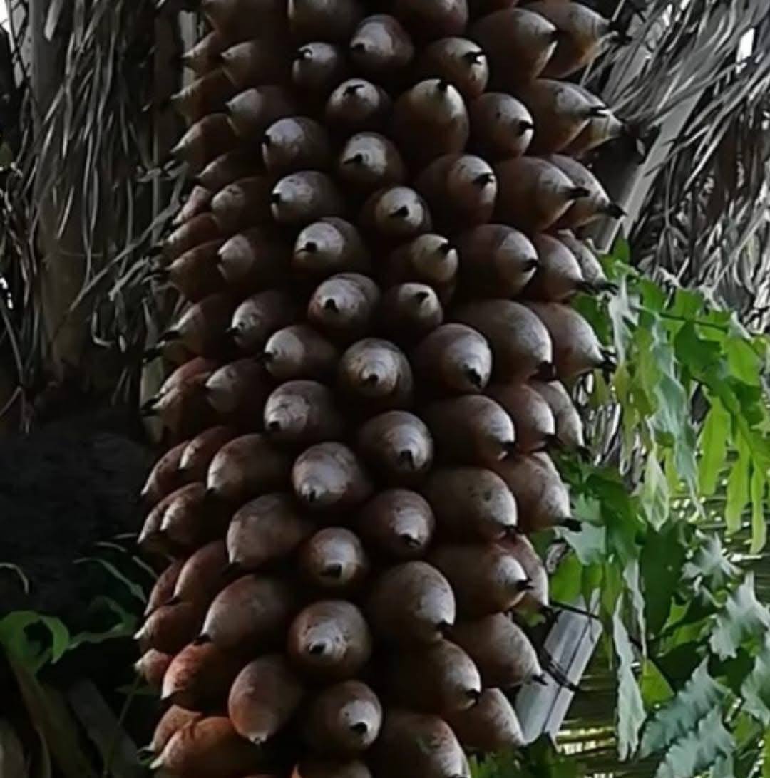 single-product-image